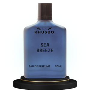 Sea Breeze Impression of Bvlgari Aqva-2